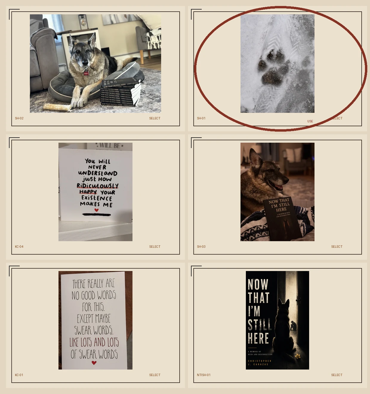 Contact sheet showing Shadow, Katie cards, the memoir, a paw print, and book inventory