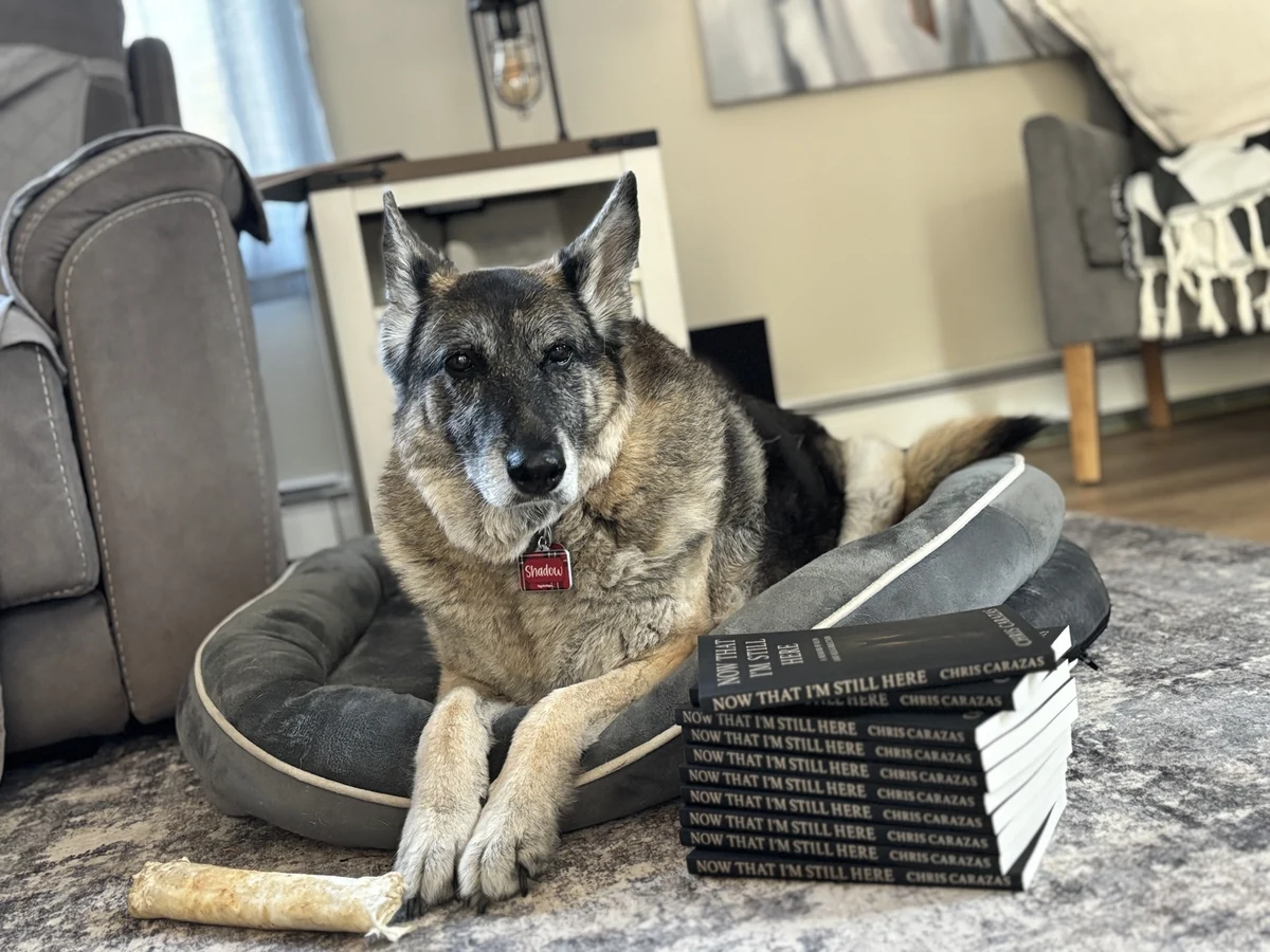 Shadow beside a stack of copies of Now That I’m Still Here